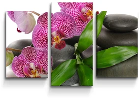 Sablio Obraz - 3-dílný Orchidey a kamene - 75x50 cm