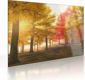 Sklenený obraz jesenných stromov (70x50 cm)
