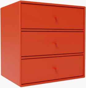 Modul Mini 1007