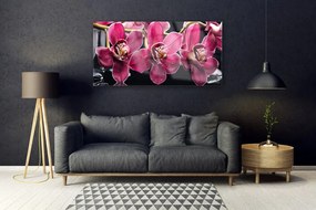 Obraz plexi Kvety orchidey výhonky príroda 120x60 cm