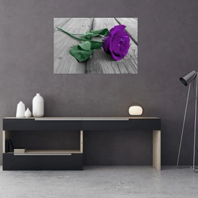 Obraz - Fialová ruža so zelenou stonkou (90x60 cm)