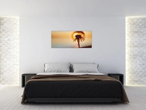 Obraz Púpavy v západe slnka (120x50 cm)