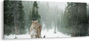 Obraz leoparda v snehu (120x50 cm)