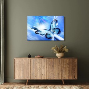 Obraz - Motýľ, symbol nádeje (90x60 cm)