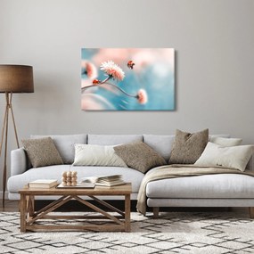 Obraz - Lienky na kvete (90x60 cm)