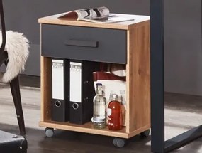 Úložný kontajner na kolečkách Liverpool, dub%