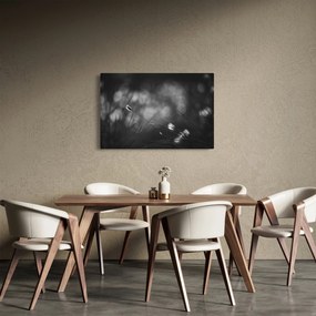 Obraz - Lúčna tráva (90x60 cm)