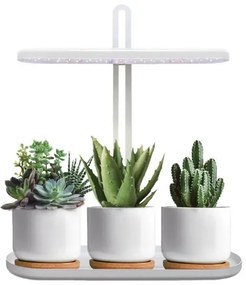 LED stmievateľná stolová lampa na pestovanie rastlín VERDI LED/12W/230V 4500K