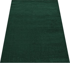 DY Zelený jednofarebný koberec Otto Rozmer: 300x400 cm
