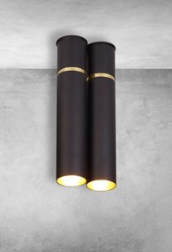 Stropné svietidlo Lynx, 2x zlaté/čierne kovové tienidlo