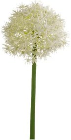 Allium Stem white 65 cm