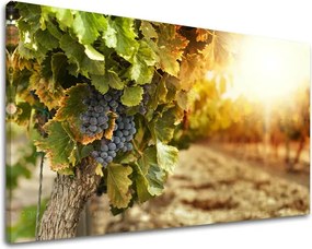 Obraz na stenu KUCHYŇA KU016E11 - 40x60 cm