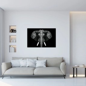 Obraz - Slon na čiernom pozadí (90x60 cm)