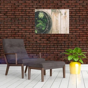 Obraz sukulentov v skle (70x50 cm)