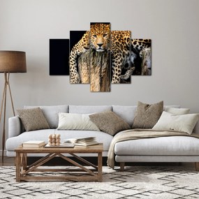 Obraz - Gepard (150x105 cm)