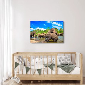 Obraz - Slony, Sri Lanka (90x60 cm)