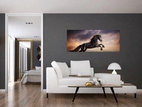 Obraz - Kone (120x50 cm)
