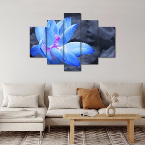 Obraz kvetu v detaile (150x105 cm)