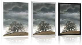 Plagát osamelé stromy - 40x60 silver