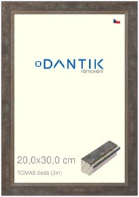 DANTIK rám na obraz 20x30 | TOMAS šedá (Sklo Čiré)