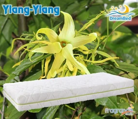 Matrac Ylang z pamäťovej peny DreamBed - 85x195cm