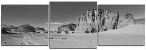 Obraz na plátne - Cesta v púšti - panoráma 5129QD (150x50 cm)