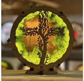 Li-Go 23622/DUB2 - LED stlmiteľná stolná dekorácia LED/12W/230V 20x22 cm dub