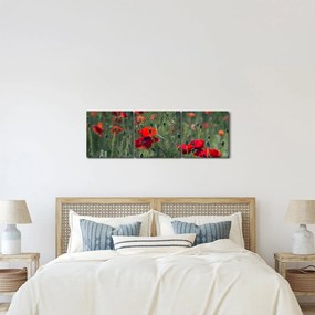 Obraz - Lúka s vlčími makmi (s hodinami) (90x30 cm)