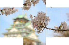 Obraz - Sakura (90x60 cm)
