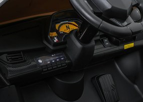 Ramiz Lamborghini Veneno vozidlo Zelená