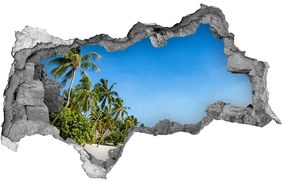 Diera 3D v stene nálepka Beach v karibiku nd-b-112295720