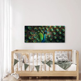 Obraz – Páv (120x50 cm)