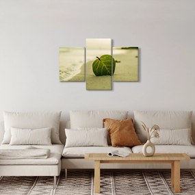 Obraz listu v piesku (90x60 cm)
