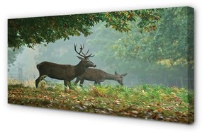Obraz na plátne Jeleňa na jeseň les 120x60 cm