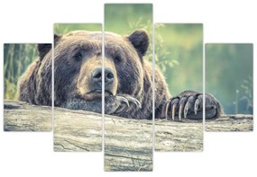 Obraz medveďa (150x105 cm)