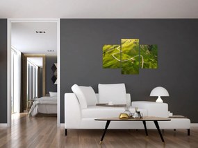 Obraz - Náhorná lúka (90x60 cm)