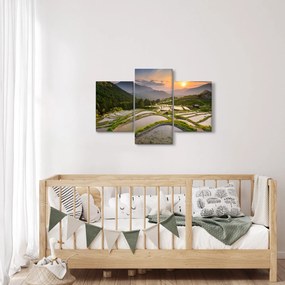 Obraz - Ryžové terasy (90x60 cm)