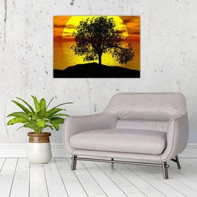 Obraz siluety stromu (70x50 cm)