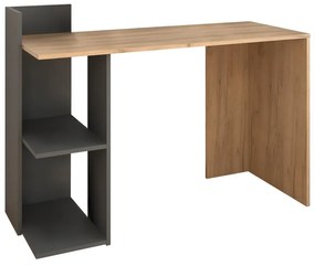 PC stolík Alamein (dub artisan + grafit) . Vlastná spoľahlivá doprava až k Vám domov. 1116231