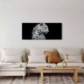 Obraz - Leopard (120x50 cm)