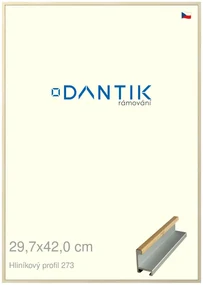DANTIK rám na obraz 29,7x42 | ALU Dýha javor (Plexi Čiré)