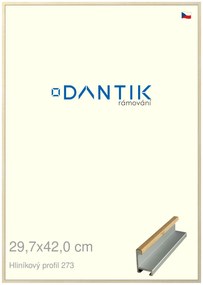 DANTIK rám na obraz 29,7x42 | ALU Dýha javor (Plexi Čiré)