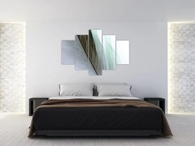 Obraz - Perie, makro (150x105 cm)