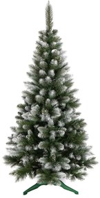 Vianočný stromček borovica 180 cm