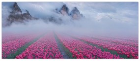 Obraz - Krajina s tulipánovými poľami (120x50 cm)