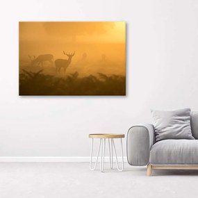 Gario Obraz na plátne Stádo jeleňov na úsvite Rozmery: 60 x 40 cm