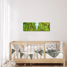 Obraz - Výhľad na les (s hodinami) (90x30 cm)