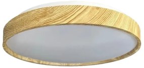 LED Stmievateľné stropné svietidlo OPAL LED/48W/230V 3000-6500K + diaľkové ovládanie