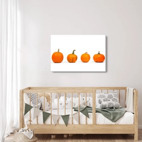 Obraz dyne (90x60 cm)