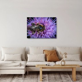 Sklenený obraz včely na kvetine (70x50 cm)